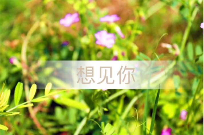 重庆足下软件学院